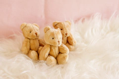 Mini Ursinho - Unidade na internet