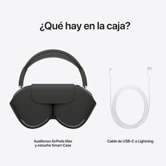 AIRPODS MAX (SPACE GRAY) - Flux Solutions