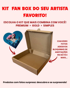 KIT FAN BOX LADY GAGA - ITENS VARIADOS (SURPRESA)