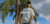 Banner de BAWE | without limits