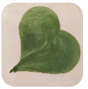 Verde Hoja 028