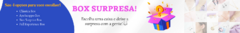 Banner da categoria Caixa Surpresa