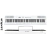 Piano Digital Artesia Performer Wh 88 Teclas