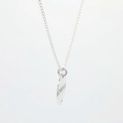 Colar de Prata Medalha Pequena Fina