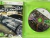 Jogo Need For Speed Most Wanted versao 2005 Xbox 360 na internet