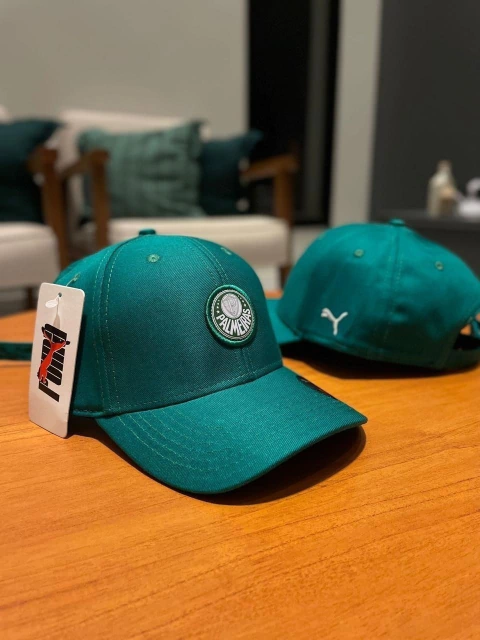 BONÉ PALMEIRAS - comprar online