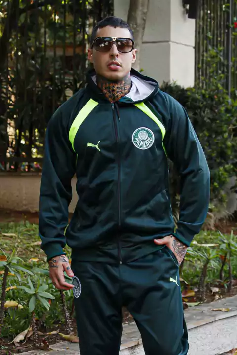 CONJUNTO PALMEIRAS VERDE ESCURO