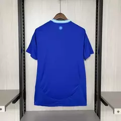 Modelo torcedor - Argentina 2024/25 Away na internet