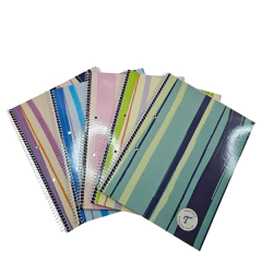 CUADERNO TRIUNFANTE 80 HOJAS - COD: 2161 - comprar online