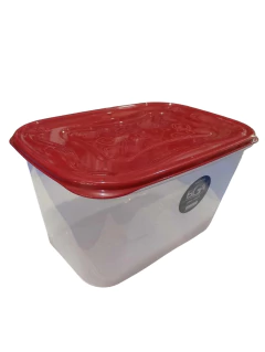 HERMETICO RECTANGULAR 3,9L - COD: 07025