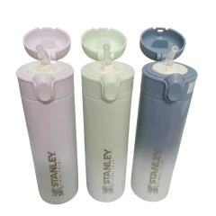 BOTELLA TERMICA - COD: 6012 - comprar online