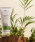 Lubrificante que imita Cannabis - CB2 Pulse Intt cosméticos - comprar online