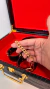 Maleta Sado dos Sonhos LINHA LUXO - Acessórios BDSM
