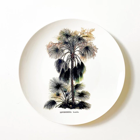 Prato Nature Livistona - comprar online