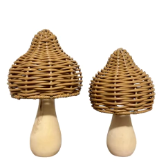 Cogumelos Botanika - comprar online