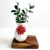 Vaso Antropology Red