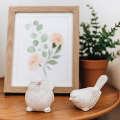 Dupla Passarinhos - comprar online