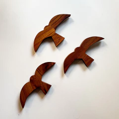 Gaivotas de Parede na internet