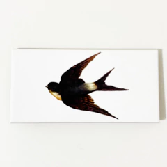 Azulejo Andorinha Design