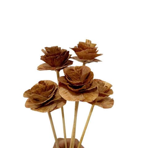 2 Varetas Fibra de Coco