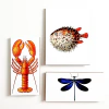 Azulejos Variados Design - comprar online