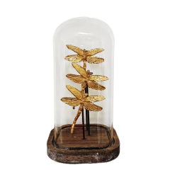 Cúpula Decorativa Libélulas - Casa Pequiá 