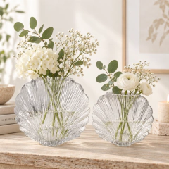 Vasos Concha Transparente (unitário) - comprar online