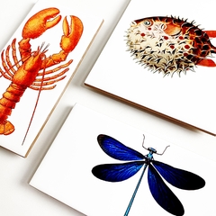 Azulejos Variados Design - comprar online