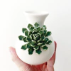 Vaso Antropology Green