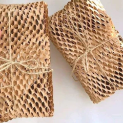 Mulher Balão Design na internet