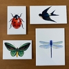 Azulejos Animais Design