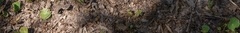 Banner de la categoría ZUECOS Y SANDALIAS