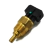 Imagem do Sensor Temperatura Agua Para Jac T5 T40