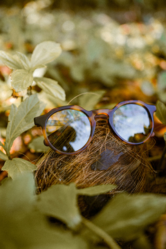 AMAZONIA SUN POLARIZED - CAREY + GREEN - LIMITED EDITION en internet