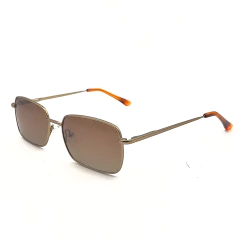 BORDER SUN POLARIZED - GOLDEN BROWN en internet