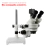 Microscópio Trinocular 37045A STL1 Cellmaster