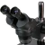Microscopio Binocular 2040 Preto Cellmaster