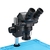 Microscopio Binocular 7050 Preto Completo CN4 Cellmaster