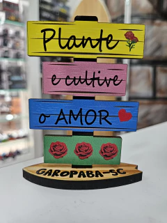 Lembranças de Garopaba-SC na internet