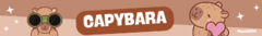 Banner de la categoría CAPYBARA