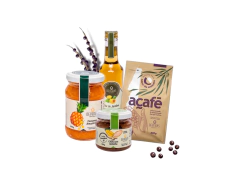 Kit Saberes da Amazônia