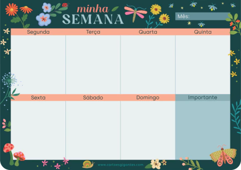 Bloco anotações cartões gigantes week minha semana