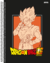 Caderno sd 1 matéria dragon ball 80fls