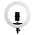 Ring Light Grande Iluminador LED 44cm + Suporte de Celular - LR-650 - TUDOPRAFOTO | Equipamentos fotográficos