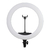 Ring Light Grande Iluminador LED 44cm + Suporte de Celular - LR-650 - loja online