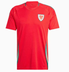 manto-mantos-uniforme-uniformes-blusas-blusa-roupa-roupas-camisetas-camisas-camisa-pais-de-gales-i-2024-25-vermelha-torcedor-masculina-tailandesa-futebol-lançamento-nova-original-fotos-foto-oficial-imagem-replica-barata-primeira-casa-principal-titular-hom