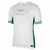 manto-mantos-uniforme-uniformes-blusas-blusa-roupa-roupas-camisetas-camisas-camisa-nigeria-i-2024-25-branca-e-verde-torcedor-masculina-tailandesa-futebol-lançamento-nova-original-fotos-foto-oficial-imagem-replica-barata-primeira-casa-principal-titular-hom