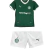 Uniforme Infantil Palmeiras I 2025/26 - Verde - loja online