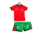 uniforme-infantil-portugal-i-2024-25-vermelho-e-verde-conjunto-uniforme-tailandesa-replica-original-oficial-fotos-imagem-home-casa-titular-primeira-principal-kit-2.webp