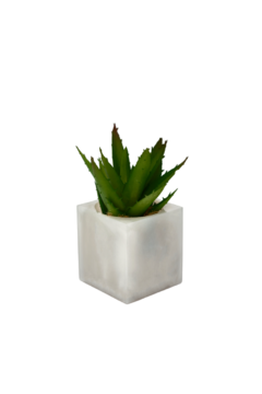 Cachepot - DASI Home